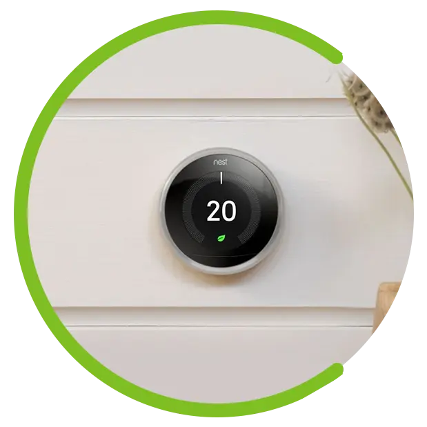 nest 20